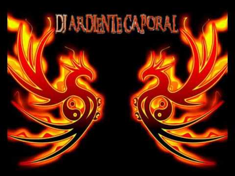 MIX CAPORALES 2014¡¡¡ DJ ARDIENTE CAPORAL