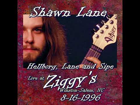 Stellar Rays - Shawn Lane, Jonas Hellborg, Jeff Sipe 1996