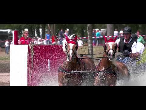 Haflinger-Europachampionat 2018 – Impressionen im Film (1)