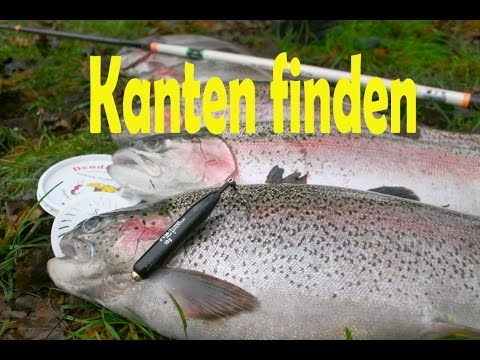 Forellen suchen und finden Teil 2: Kanten