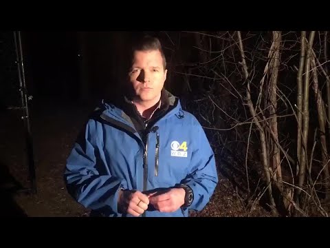 Reporter Update: Woman Attacked, Robbed In Quincy Park