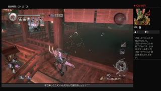 仁王　無間獄をいく！そして落命祭り？