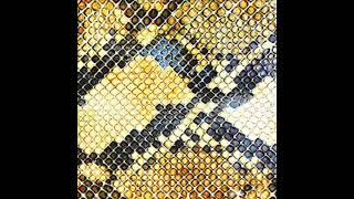 The Amazing Snakeheads - I'm A Vampire