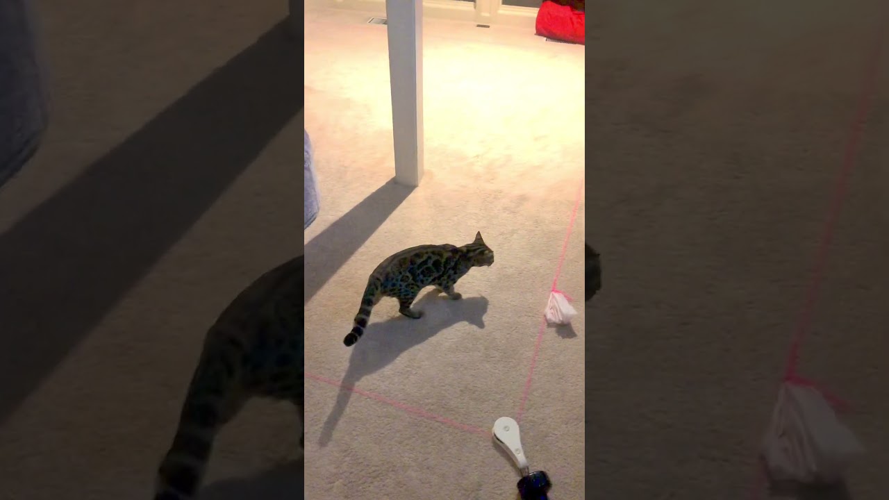 Day 1 - Around Furniture