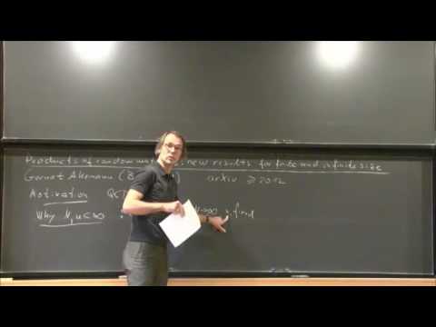 Products of random matrices: new results for finite and infinite size - Gernot Akemann