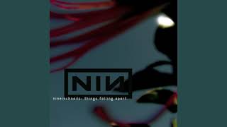 The New Flesh - Nine Inch Nails (Things Falling Apart Version) aka. This Is How It All Begins