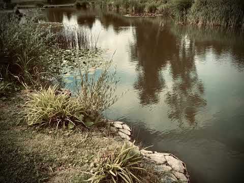 Low Life ( Witch House Mix )