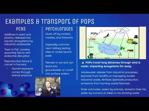 AP Environmental Science 8.7 - Persistent Organic Pollutants POPs