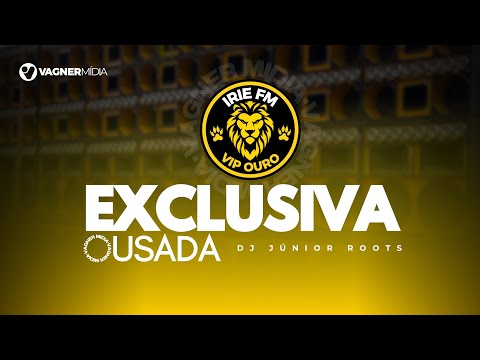 MELÔ DE GILSON VIP - EXCLUSIVA 2024 - IRIE FM VIP LION - DUB BROWN