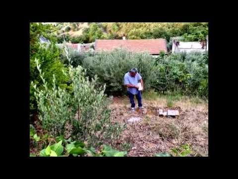 Trasfigurazione del Signore San Demetrio Corone