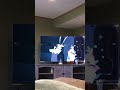 Cats Don T Dance
