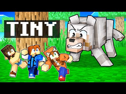 Tina The Tiny Tiger: Minecraft Movie