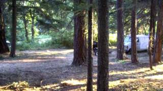 Portland Brush Clearing......Poison Oak clearing (after!)