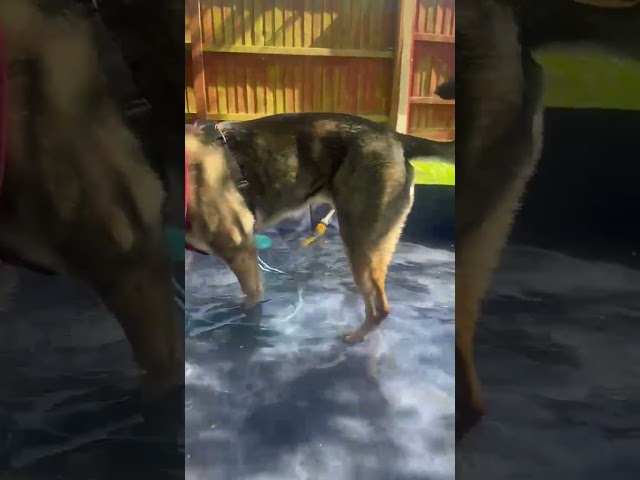 Play video