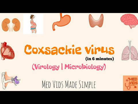 Coxsackievirus | Microbiology | Med Vids Made Simple Video