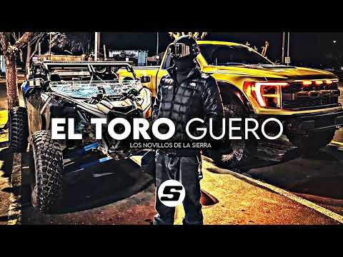 Los Novillos De La Sierra - El Toro Guero (Corridos 2025)