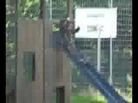 St1m Parodie (GJUnderground)