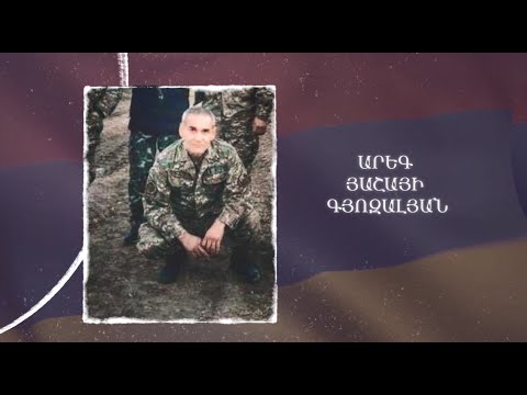 Ձեզ բացակա չենք դնի․ Արեգ Գյոզալյան
