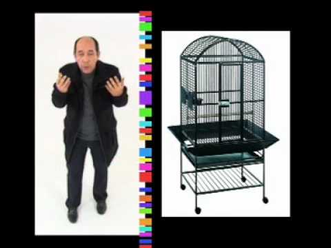 comment nettoyer une cage d'oiseau