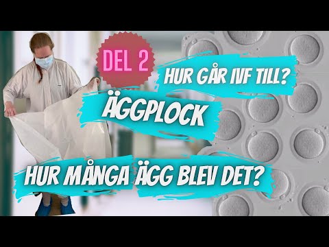, title : 'IVF, Äggplock'