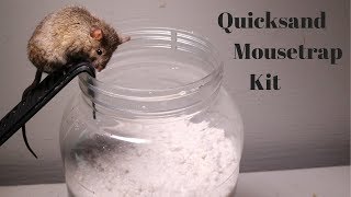 Testing Out The Quicksand Mouse Trap Kit Sold On Amazon.