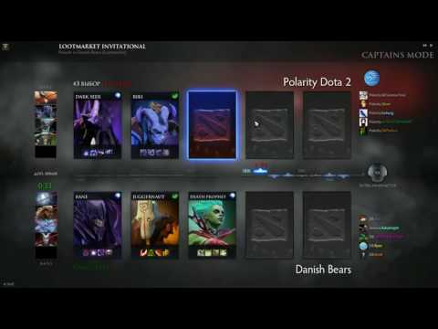 Polarity - Danish Bears