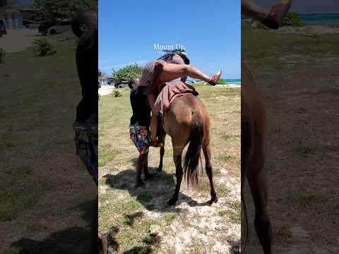 The Tranquility of Outdoor Horse Riding