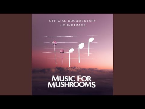 Sit Around The Fire (Radio Edit)