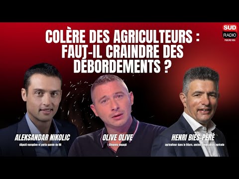 "Le RN déposera une motion de censure",  Aleksandar Nikolic