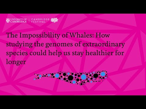 The Impossibility of Whales: How studying the genomes of other species could help us stay healthier