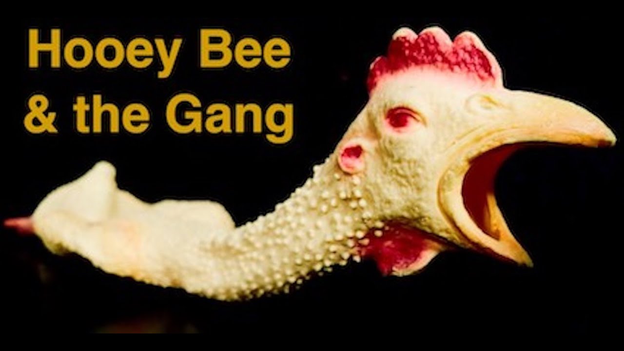 Promotional video thumbnail 1 for Hooey Bee & the Gang