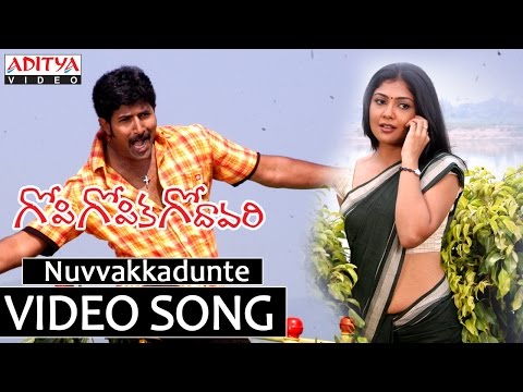 Nuvvakkadunte — watch video