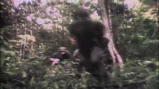 Your Wildest Dream (Moody Blues)