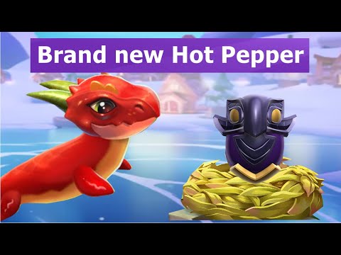 DML reveal new Epic Hot Pepper Dragon-Dragon Mania Legends | Hatched Dark Sentinel Dragon | DML