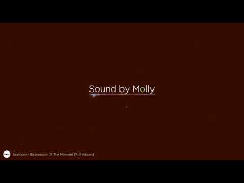 Seamoon - Expression Of The Moment [Full Album]