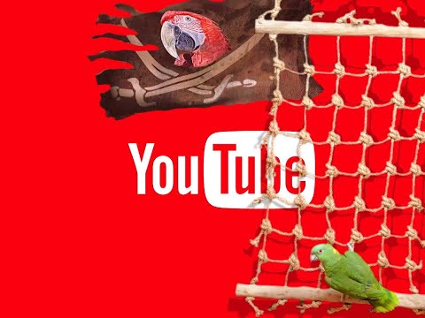 Filmpje over papegaaienspeciaalzaak Dieca