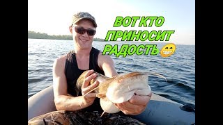 Ловля сома на раттлин