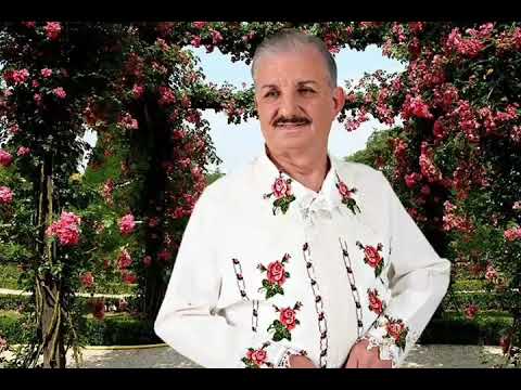 Vasile Conea - Mult ma-ntreaba iedera