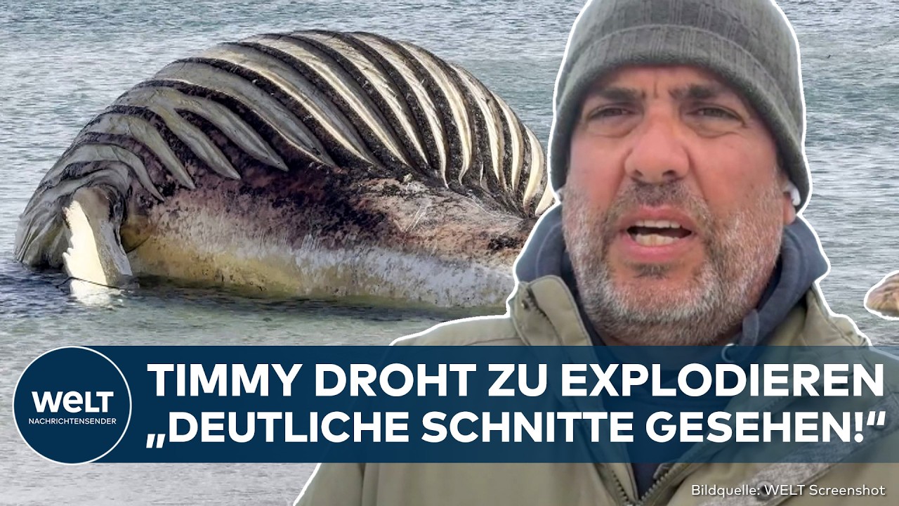 WAL-DRAMA: Timmy droht zu platzen! Kadaver stark aufgebläht! Behörden warnen vor Explosion