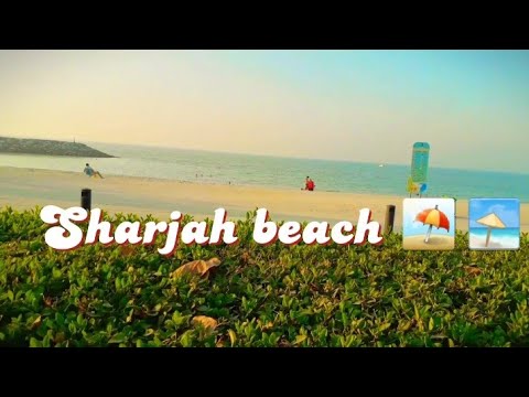 Sharjah beach X  Faruk Ahmed