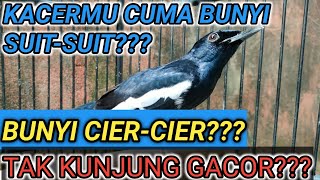 Download lagu WHY IS THIS? THE KACER'S SOUND IS SCREAMING, THE KACER'S SOUND IS SCREAMING, WHAT'S UP WITH THE N... mp3