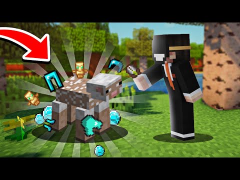 Minecraft dar OILE sunt OP !