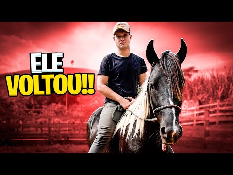 I FINALLY FOUND my AMBASSADOR HORSE