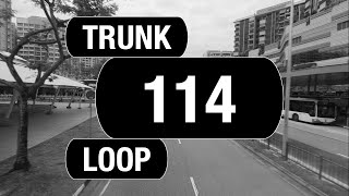 SBS Transit Trunk 114 (BFTP 2024) | Bus Service Route Visual