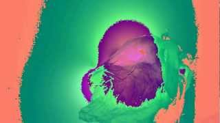 Animal Collective - On A Highway