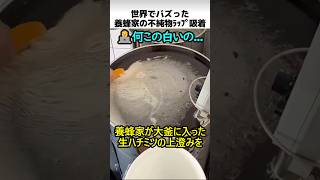 養蜂家の不純物ラップ吸着