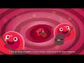 Don T Miss A Beat All About Blood