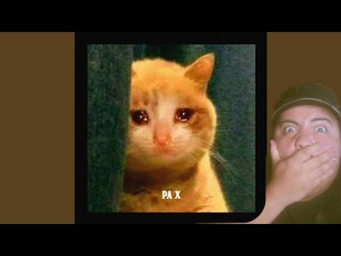 RT REACCIONA Y RECOMIENDA A - PA X - MICK3L