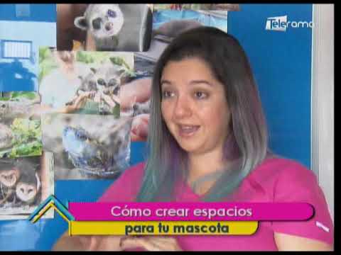 Cómo crear espacios para tu mascota