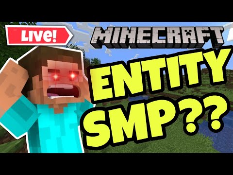 Is Entity SMP Going Public? 😱 MCPE Livestream